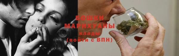 PSILOCYBIN Вязьма