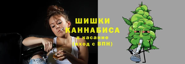 PSILOCYBIN Вязьма