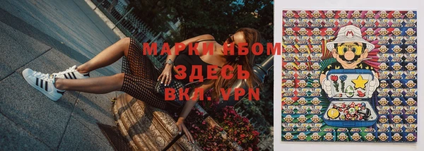 PSILOCYBIN Вязьма