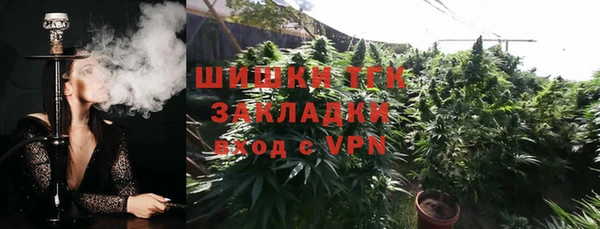 PSILOCYBIN Вязьма