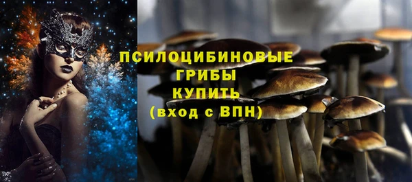 PSILOCYBIN Вязьма