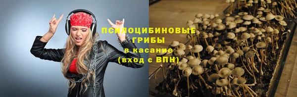 PSILOCYBIN Вязьма